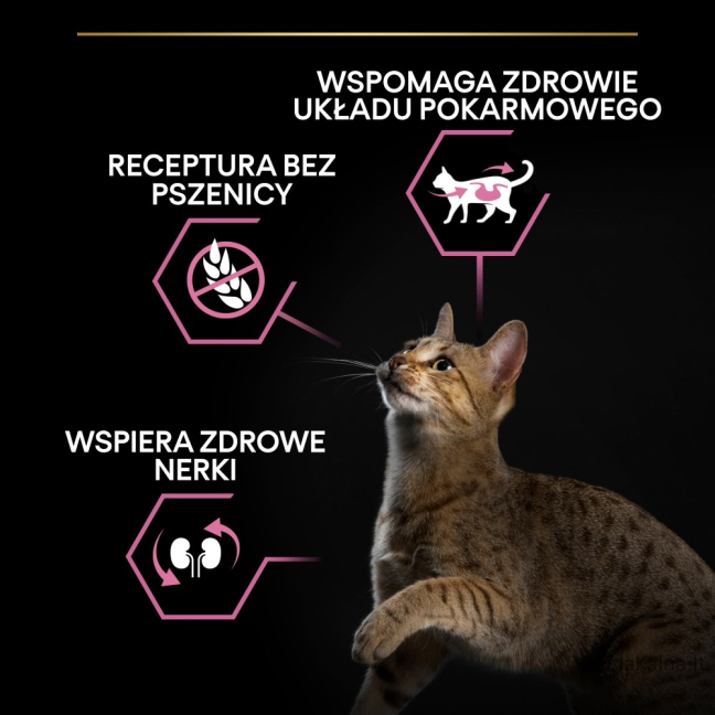 PURINA PRO PLAN DELICATE Indyk 400g 2