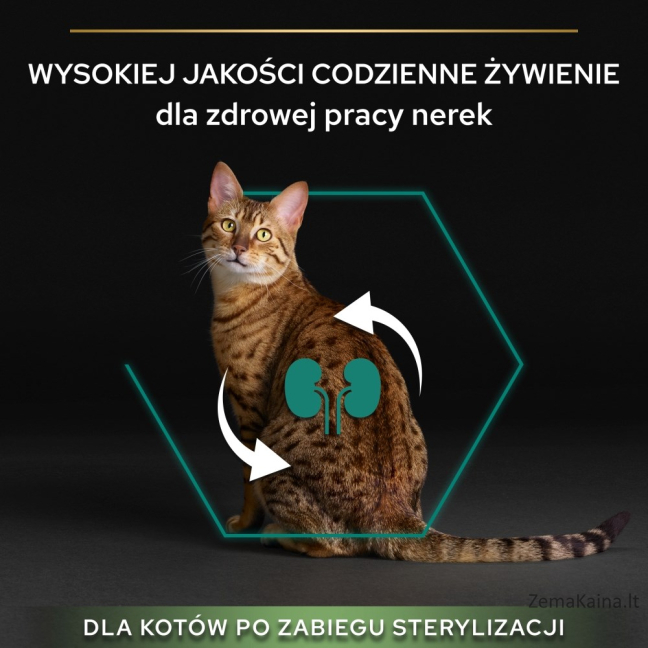 PURINA PRO PLAN STERILISED Renal Plus Indyk 400g 1