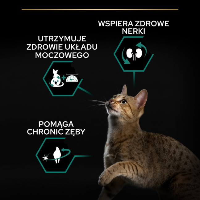 PURINA PRO PLAN STERILISED Renal Plus Indyk 400g 2