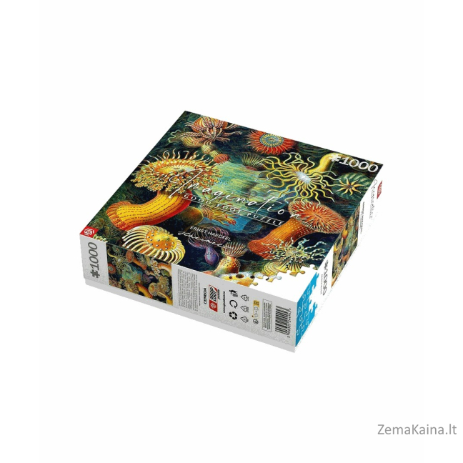 Puzzle Good Loot 1000 Imagination Ernst Haeckel Stworzenia Morskie 1