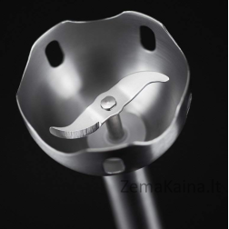 Rankinis trintuvas "Russell Hobbs 24700-56 Desire 3in1
