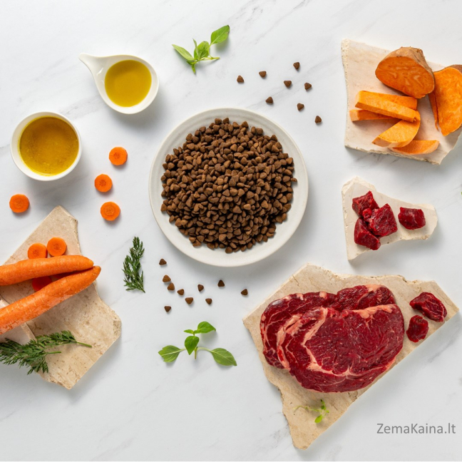 RAW PALEO Ultra Medium&Large Adult Beef - sausas šunų maistas - 10 kg 4
