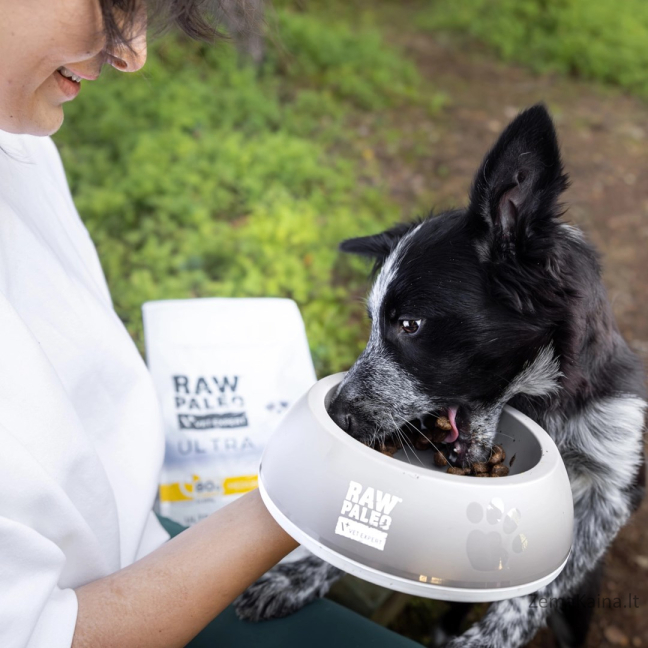 RAW PALEO Ultra Medium&Large Puppy Turkey - sausas maistas šuniukams - 2 kg
