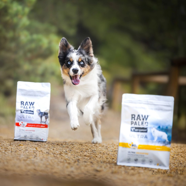 RAW PALEO Ultra Medium&Large Puppy Turkey - sausas maistas šuniukams - 2 kg 1