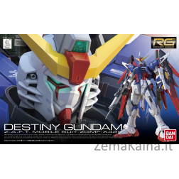 RG 1/144 DESTINY GUNDAM BL