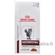 ROYAL CANIN Intestinal Gastro Moderate Cat 12x85g