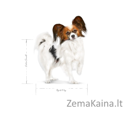 ROYAL CANIN Adult 8+ x- small SHN - sausas maistas šunims - 1,5kg