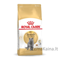 Royal Canin British Shorthair Adult sausas kačių maistas 4 kg