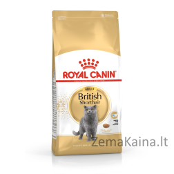 Royal Canin British Shorthair Adult sausas kačių maistas 4 kg