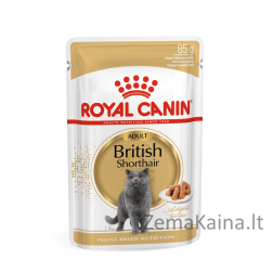 ROYAL CANIN British Shorthair pakuotė 12x85g