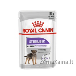 Royal Canin CCN Sterilised Loaf - drėgnas maistas suaugusiems šunims - 12x85g