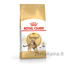 Royal Canin FBN Bengal Adult - sausas kačių maistas - 10kg