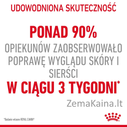 Royal Canin Hair & Skin Care sausas kačių maistas 4 kg Suaugusių