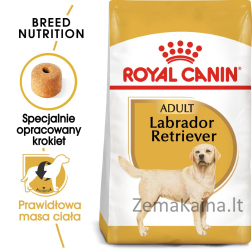 Royal Canin Labrador Retriever Adult 12 kg Paukštiena, Ryžiai