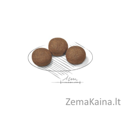 Royal Canin Medium Puppy Šuniukas Daržovių 15 kg