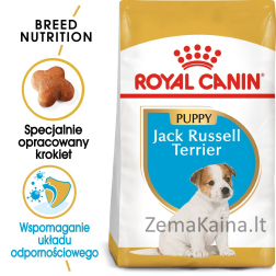 Royal Canin SHN Breed Jack Russell Junior - Sausas šunų maistas Paukštiena, Ryžiai - 3 kg