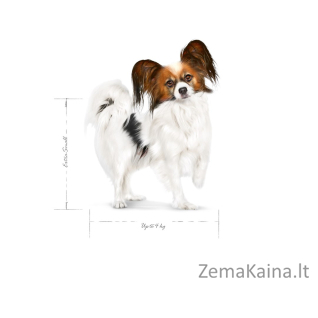 ROYAL CANIN Adult x- small SHN - sausas maistas šunims - 0,5kg