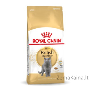 Royal Canin British Shorthair Adult sausas kačių maistas 4 kg