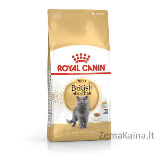 Royal Canin British Shorthair Adult sausas kačių maistas 4 kg