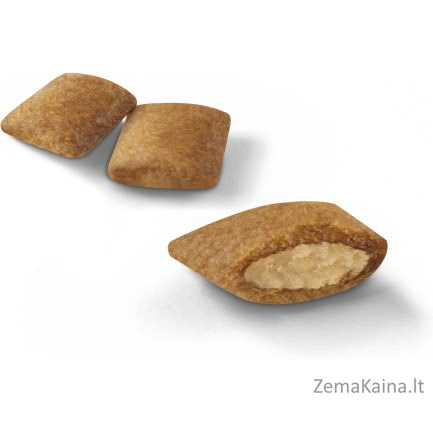 Royal Canin Senior Ageing 12+ sausas kačių maistas 2 kg 1