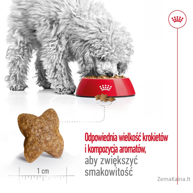 ROYAL CANIN Adult Mini S - sausas maistas šunims - 8kg 13