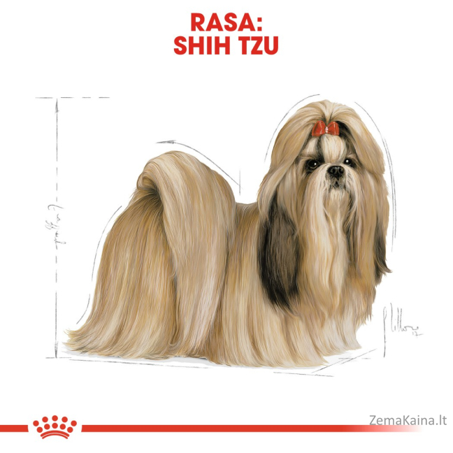 Royal Canin BHN Shih Tzu Adult - sausas šunų maistas - 1,5kg
