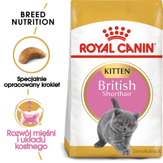 Royal Canin British Shorthair Kitten sausas kačių maistas Kačiukas Paukštiena, Ryžiai, Daržovių 2 kg 2