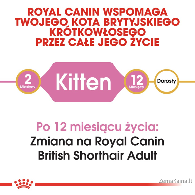 Royal Canin British Shorthair Kitten sausas kačių maistas Kačiukas Paukštiena, Ryžiai, Daržovių 2 kg 4
