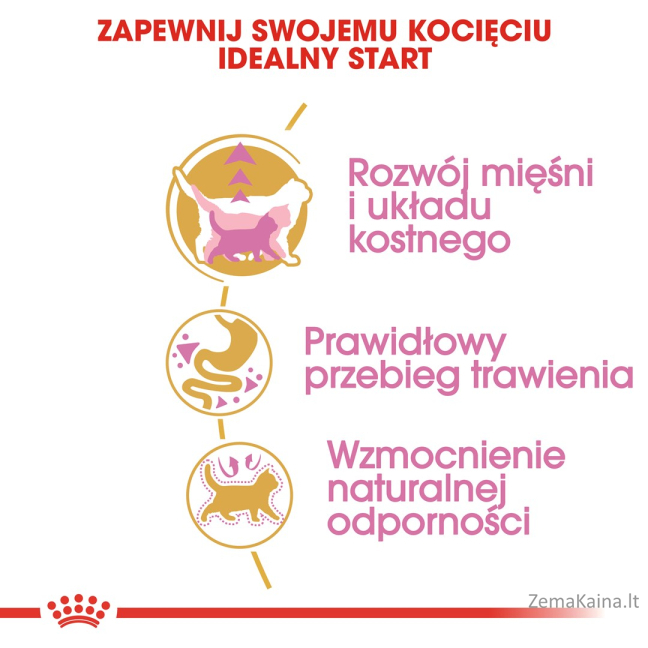 Royal Canin British Shorthair Kitten sausas kačių maistas Kačiukas Paukštiena, Ryžiai, Daržovių 2 kg 5