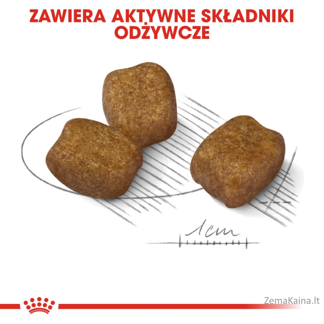 ROYAL CANIN CCN Mini Dental Care - sausas ėdalas suaugusiems šunims - 3kg 4