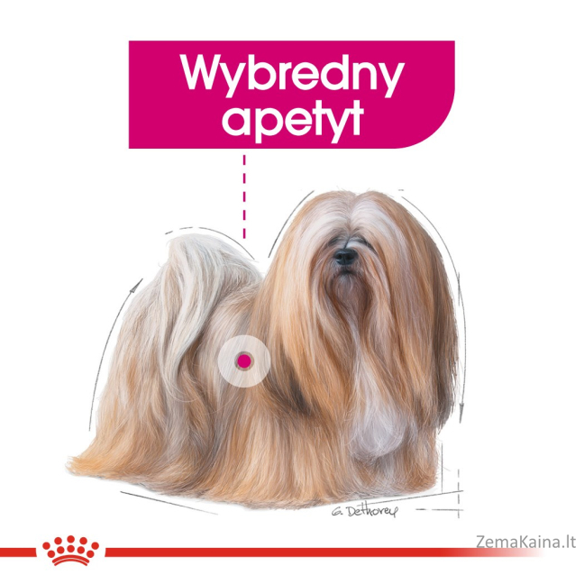 Royal Canin CCN MINI EXIGENT - sausas ėdalas suaugusiems šunims - 3kg 2