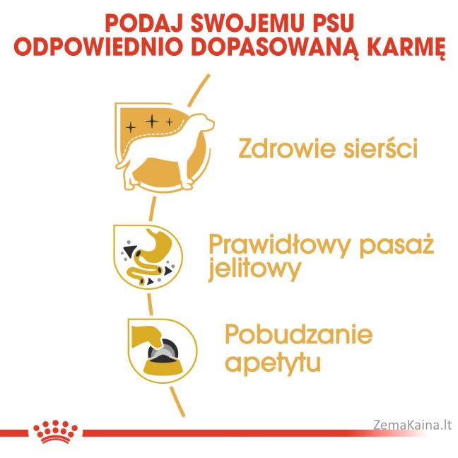 ROYAL CANIN Chihuahua - pakuotė 12x85g 6