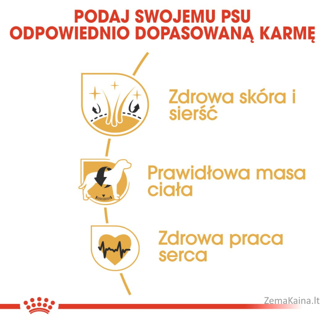 Royal Canin Cocker Adult Sausas šunų maistas Kukurūzas, Paukštiena, Ryžiai 12 kg 5