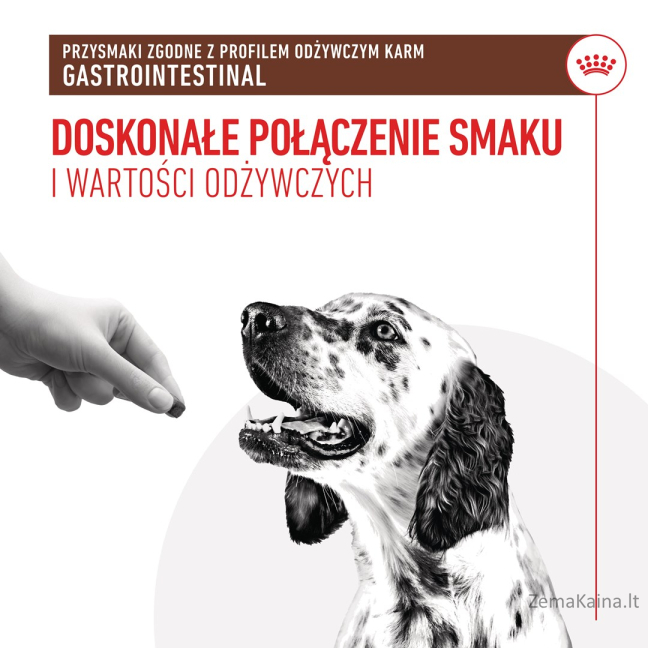 ROYAL CANIN Dog Gastrointestinal Treats - skanėstas šuniui - 230g 4