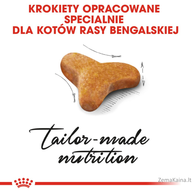 Royal Canin FBN Bengal Adult - sausas kačių maistas - 10kg 2