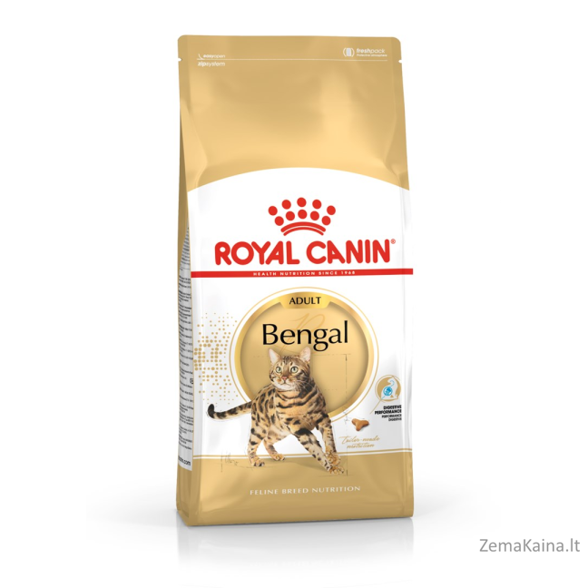 Royal Canin FBN Bengal Adult - sausas kačių maistas - 10kg 1