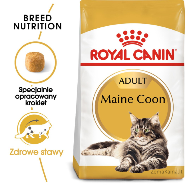 Royal Canin FBN Maine Coon Adult -  sausas ėdalas suaugusioms katėms - 4kg 3