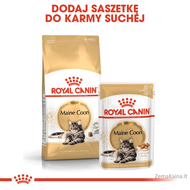 Royal Canin FBN Maine Coon Adult -  sausas ėdalas suaugusioms katėms - 4kg 8