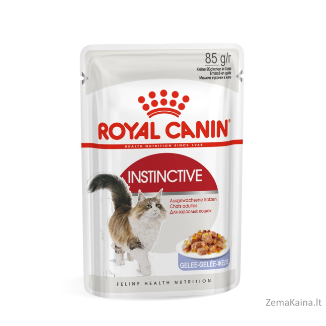 Royal Canin FHN Instinctive in jelly - drėgnas ėdalas suaugusioms katėms - 12x85g 1