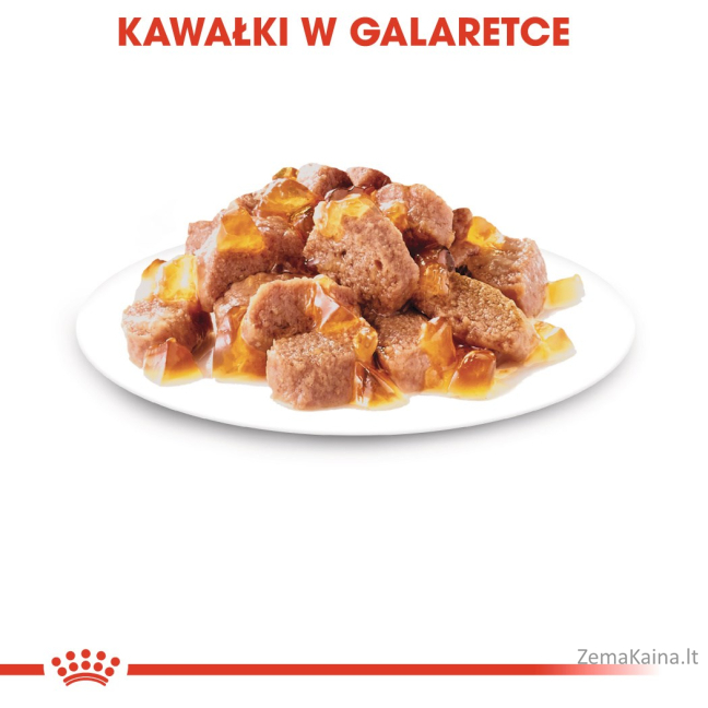 Royal Canin FHN Instinctive in jelly - drėgnas ėdalas suaugusioms katėms - 12x85g 7