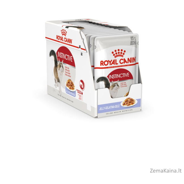 Royal Canin FHN Instinctive in jelly - drėgnas ėdalas suaugusioms katėms - 12x85g 8