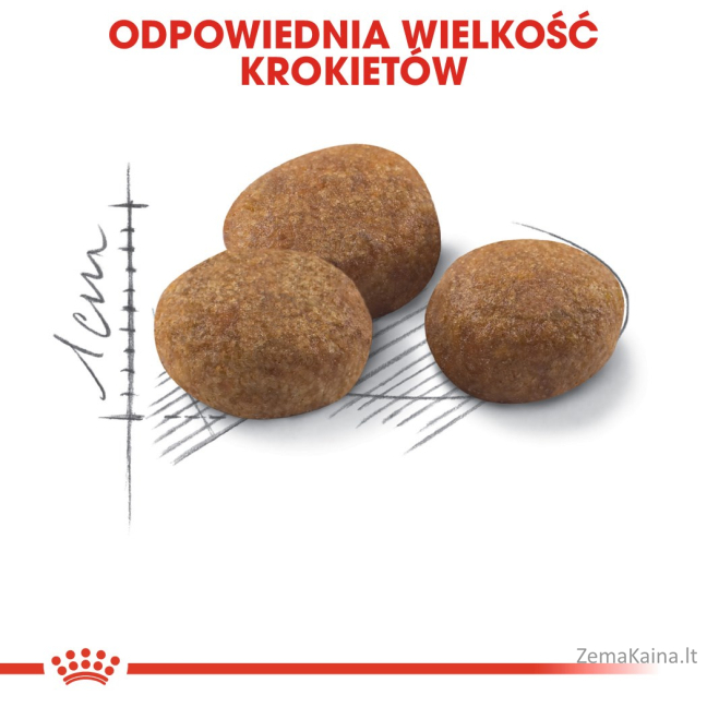 Royal Canin FHN Sterilised 7+ - sausas ėdalas suaugusioms katėms - 10kg 2