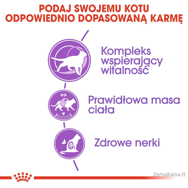Royal Canin FHN Sterilised 7+ - sausas ėdalas suaugusioms katėms - 10kg 6