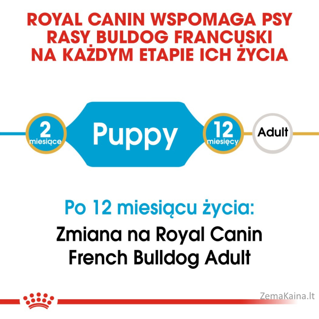 Royal Canin French Bulldog Junior Sausas šunų maistas 3 kg 2