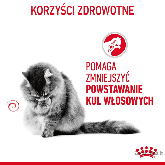Royal Canin Hairball Care sausas kačių maistas 0,4kg 7