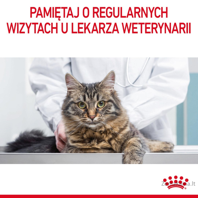 Royal Canin Hairball Care sausas kačių maistas 0,4kg 8