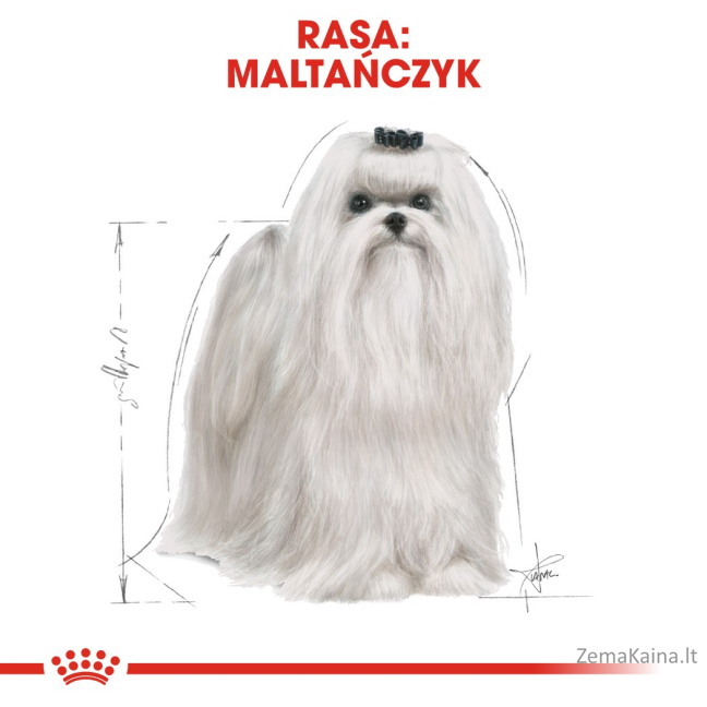 Royal Canin Maltese Adult Kukurūzas, Paukštiena 1,5 kg 2