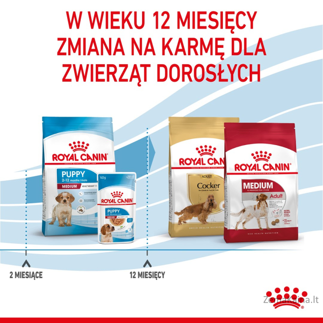 Royal Canin Medium Puppy 4 kg Šuniukas Geltona, Paukštiena 10