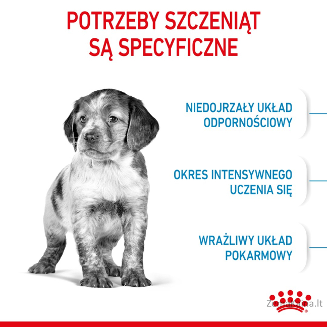 Royal Canin Medium Puppy 4 kg Šuniukas Geltona, Paukštiena 2
