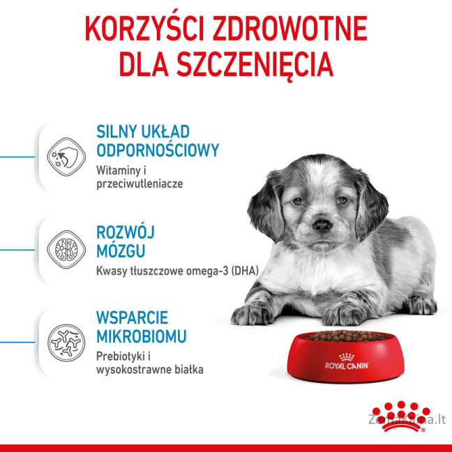 Royal Canin Medium Puppy 4 kg Šuniukas Geltona, Paukštiena 4